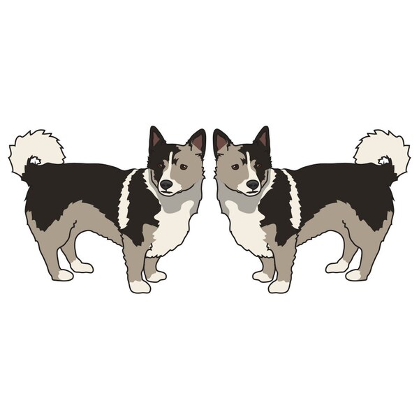 Swedish Vallhund Dog Decal, Dog Lover Decor Vinyl Sticker